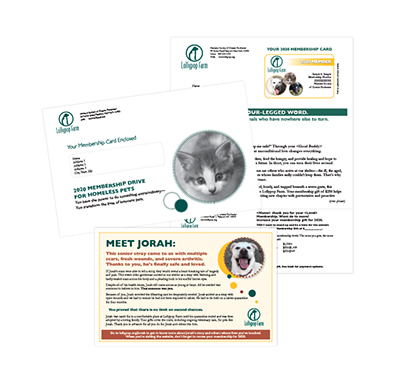 Direct Mail Design for Penn Medicine